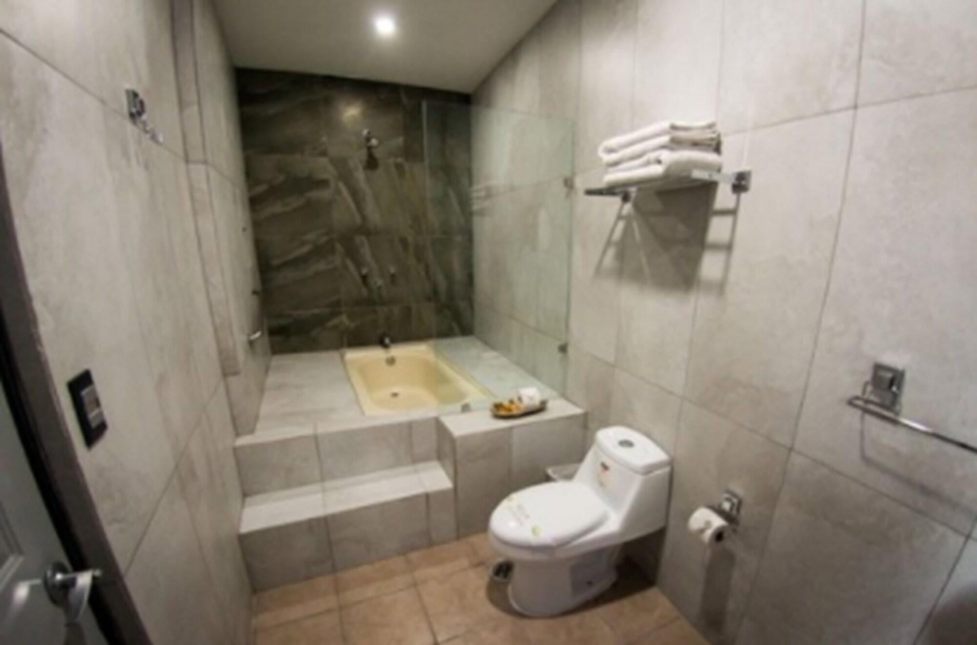Hotel Real Azteca Boulevard ليون المظهر الخارجي الصورة